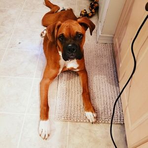 Meet your Posher, Abbey